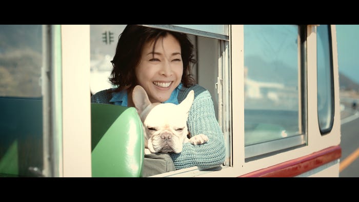 草なぎ剛の愛犬、CMデビュー 竹内結子と共演/新CM『KISS is my life.』篇より(提供写真)