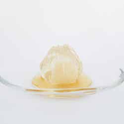 クオン 箱根強羅/提供画像