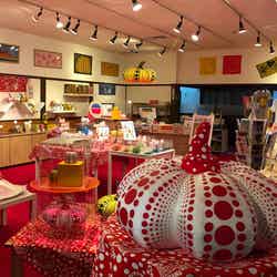 ミュージアムショップ/画像提供:フォーエバー現代美術館 祇園・京都