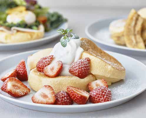 スフレパンケーキ専門店「フリッパーズ」大阪初出店
