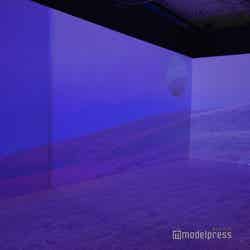 D’FESTA TOKYO(C)モデルプレス