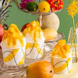 マンゴー ランデブー/提供画像