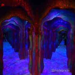 ちいかわパーク(C)モデルプレス