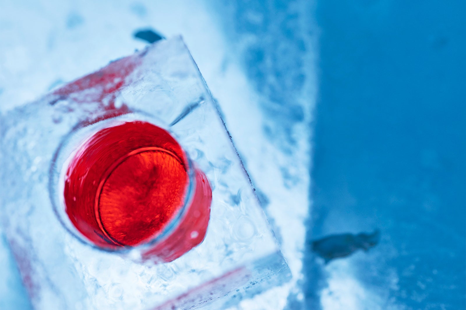 アイスバー／画像提供：I-PRO