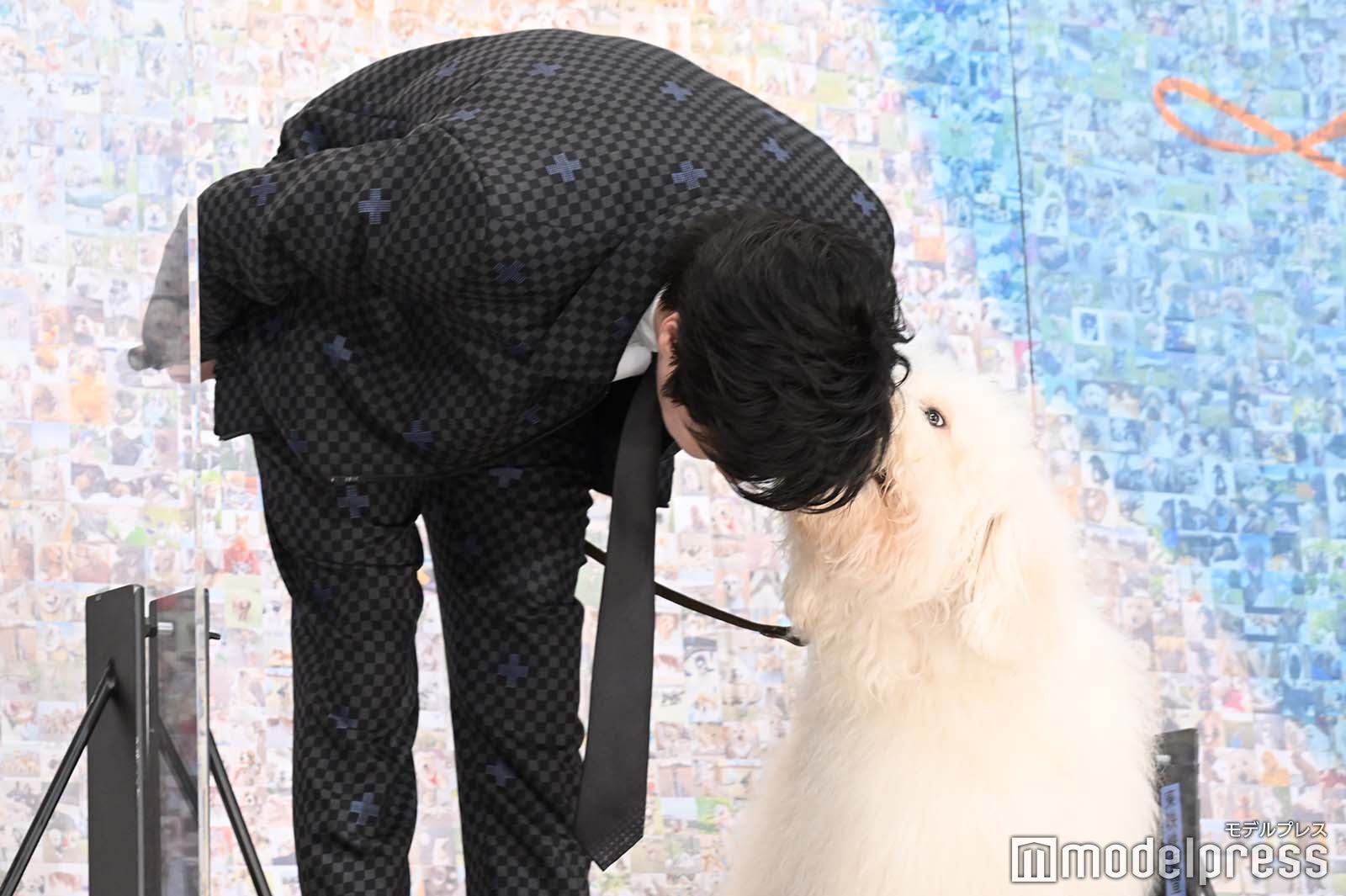 ベックの通訳を担当する田中圭 （C）モデルプレス