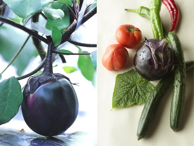 column_f3e3259488924b7c5c94f63cf0b7cfa8.