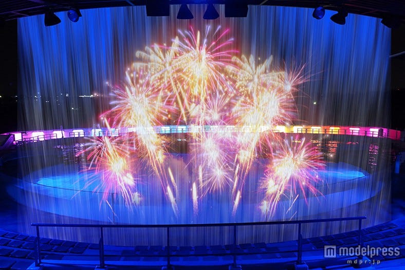 花火や夜のイルカショーも 「京都水族館」に水の圧巻アトラクション