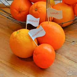 3種類のオレンジを使用（C)モデルプレス