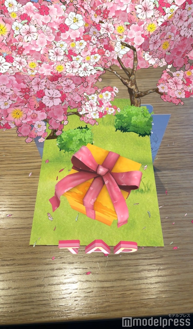 ギフトAR（C）モデルプレス