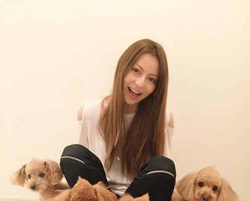 【美女とペット】香里奈と暮らす4匹の“トイプードル” ふさふさ耳が可愛すぎ