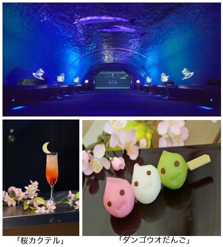 NOCTURNAL LOUNGE／画像提供：株式会社 横浜八景島