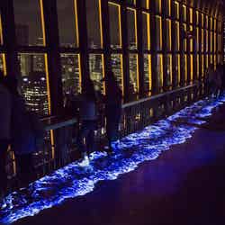 TOKYO TOWER SEA/画像提供:東京タワー