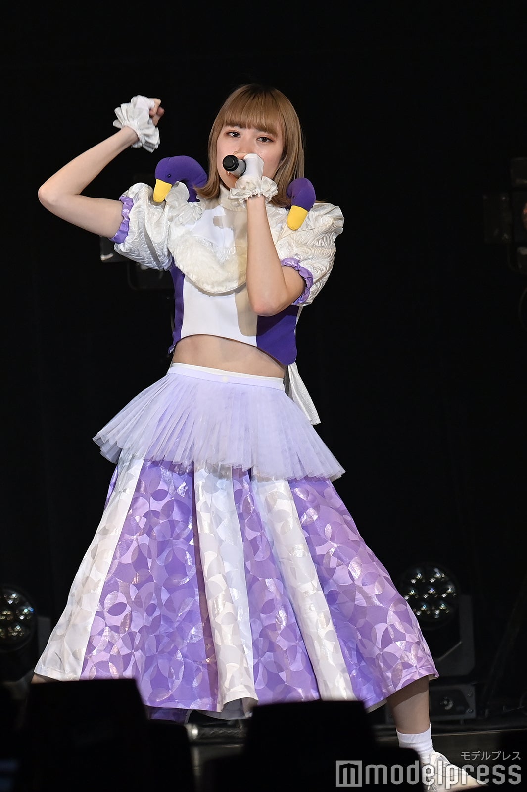 豆柴の大群（C）モデルプレス