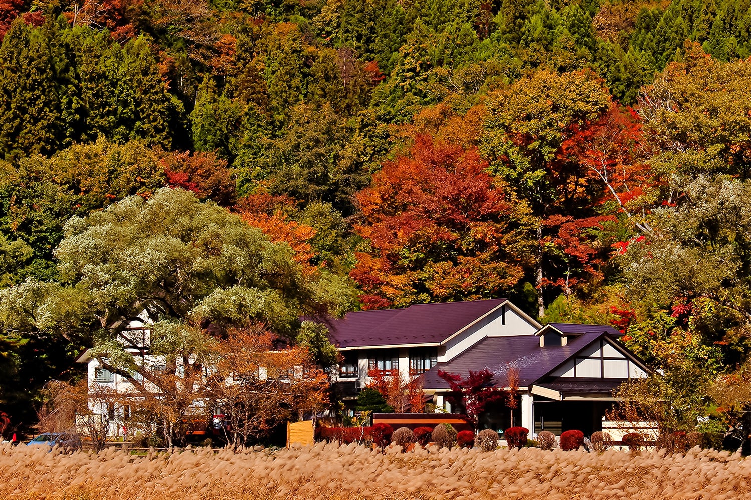 glampark 赤沢温泉／画像提供：ブッキングリゾート