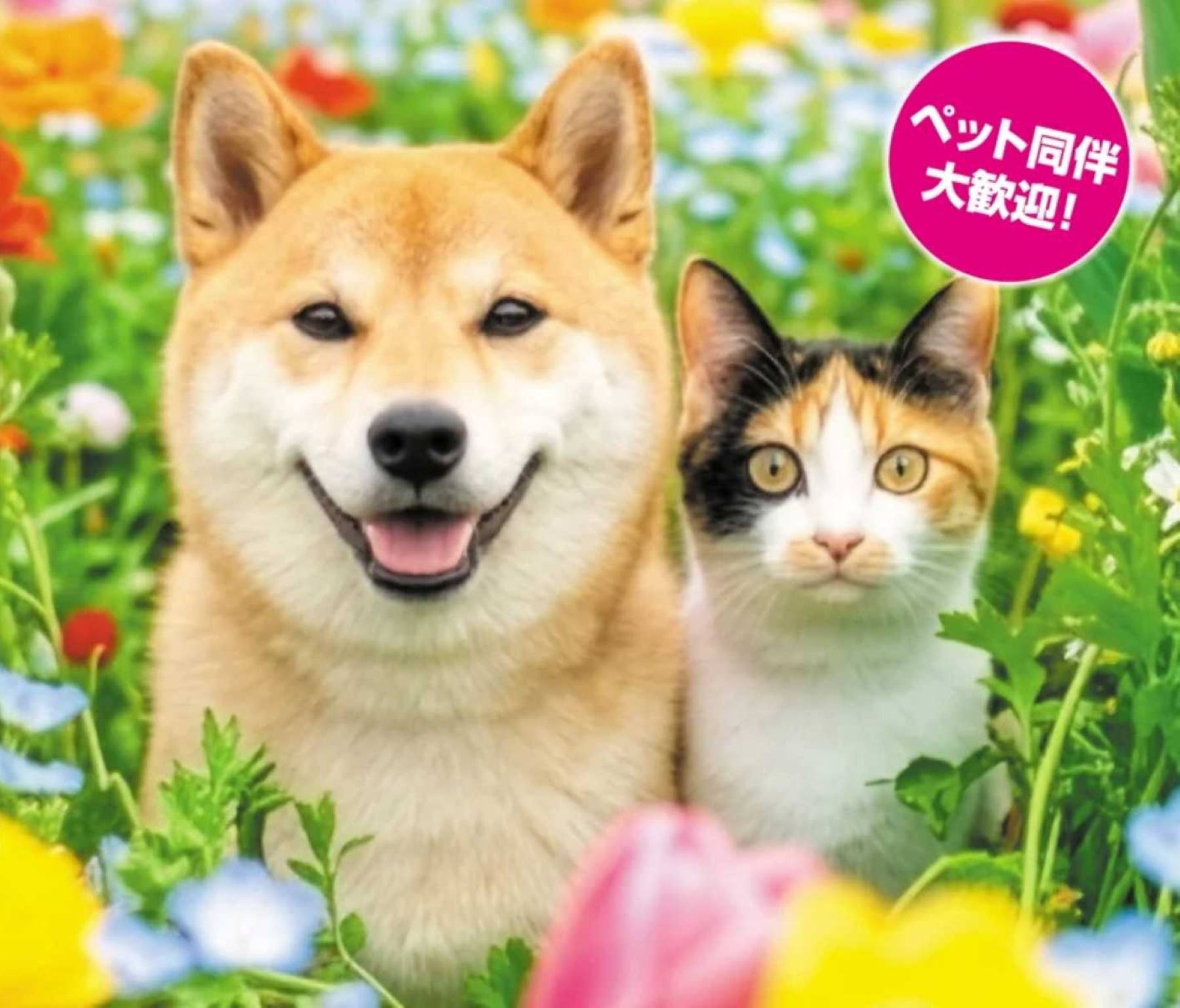 【大阪・南港】ペット同伴でも楽しめる参加型イベント「ペット博大阪」をシルバーウィークに開催！