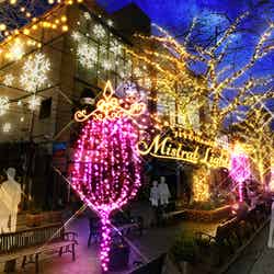 JIYUGAOKA Mistral Lights 2017/画像提供:JIYUGAOKA Mistral Lights 2017 実行委員会