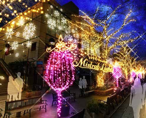 自由が丘で初のクリスマスイルミ、体の芯から温まるホットワインで乾杯