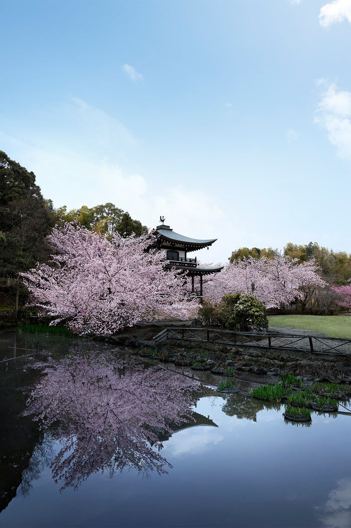 18年春 そうだ 京都 行こう の舞台は 勧修寺 知る人ぞ知る桜の名所へ 女子旅プレス