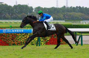 【新馬戦】ネーロノワール 力強く突き抜けV 格の違い見せた 川田「将来が楽しみな1頭」