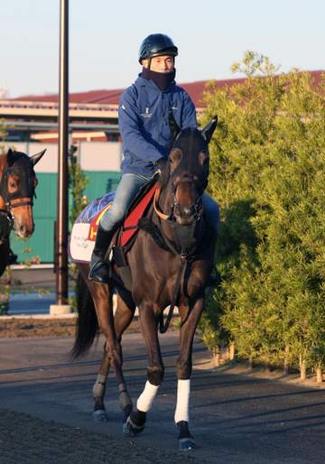 【桜花賞】ルールザウェイヴ 陣営良馬場希望も「そこは仕方がない。ジョッキーもいいイメージで行けそう」