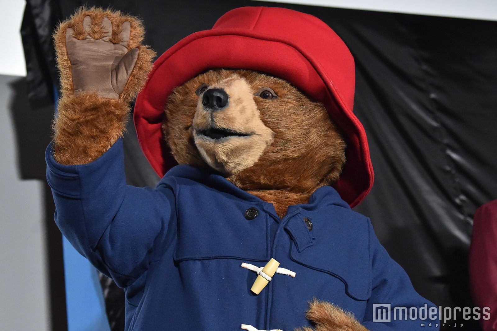 パディントン （C）モデルプレス