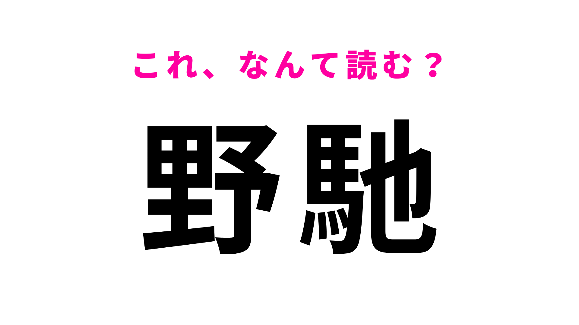 「野馳」はなんて読む？答えはひらがな2文字！