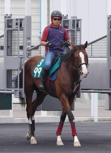 【新馬戦】バトルナイト 豊富な攻め量で武英師も好感触「追えば追うだけ伸びそうな感じでスタミナタイプ」