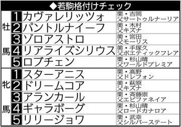 【若駒格付けチェック】決め手上位のゾロアストロが牡馬3位 ドリームコアは牝馬2位浮上 血統にも魅力