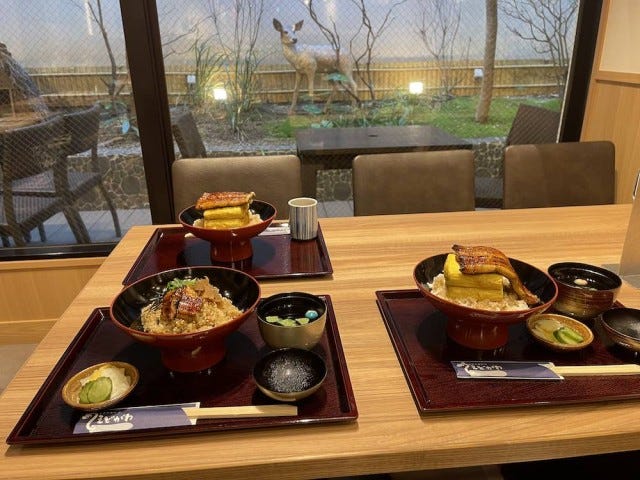 玉子焼きとうなぎがドーン！奈良でしか食べられない？「ボリューム満点丼」とは