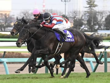 ホープフルS覇者ロブチェンは引き続き松山とのコンビで共同通信杯へ 皐月賞＆ダービーのローテを予定