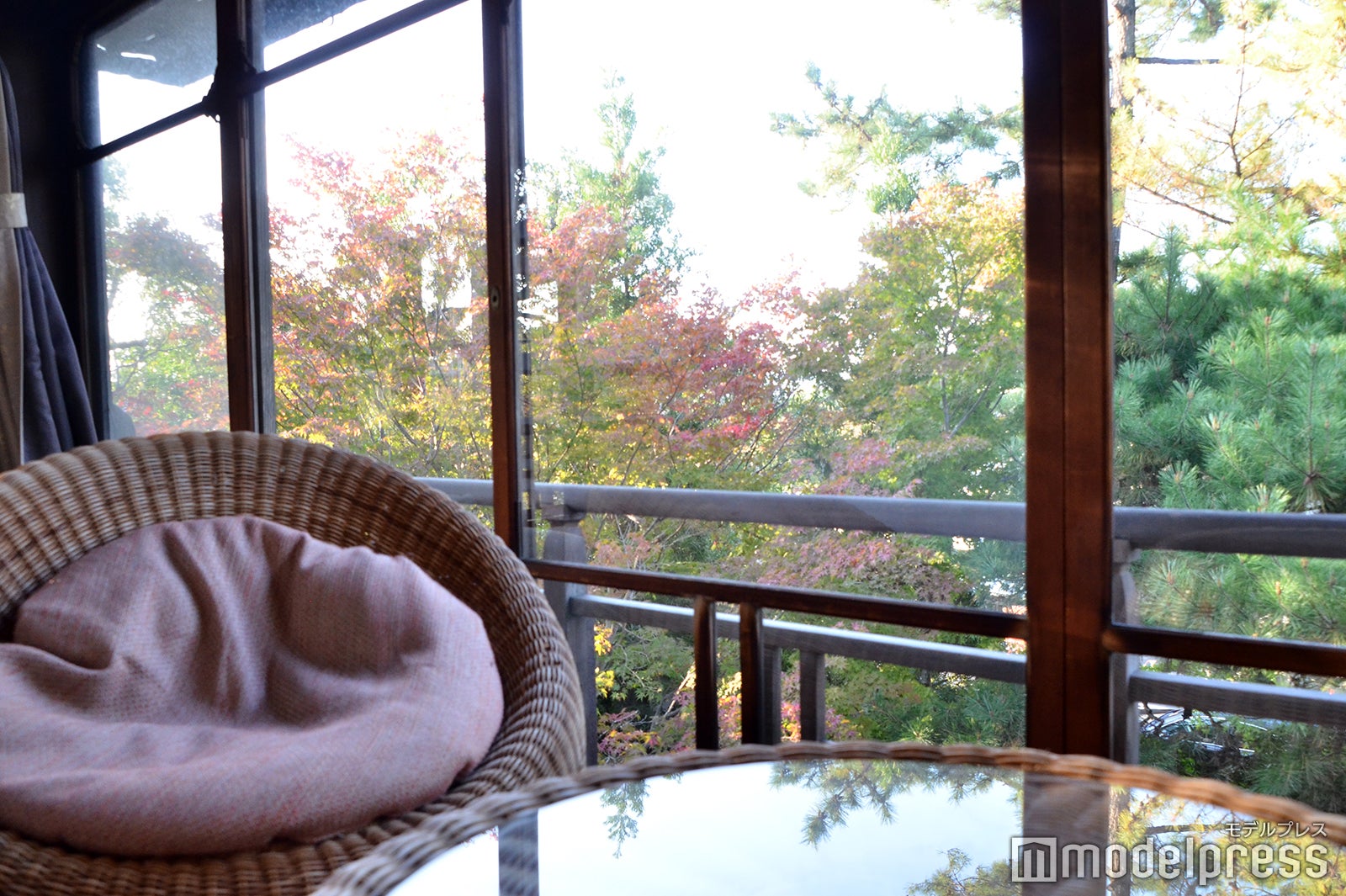 京都「南禅寺 八千代」本館「松の間」（C）モデルプレス