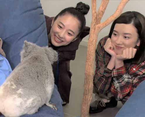 永野芽郁が涙 「坂上どうぶつ王国」で初のバラエティー海外ロケ