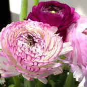 努力 に纏わることわざ14選 頑張る貴方の心に寄り添う素敵な言葉たち モデルプレス 努力 に纏わることわざ14選 頑張る貴方の心に寄り添う素敵な言葉たち モデルプレス