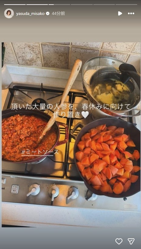 安田美沙子Instagramストーリーズより