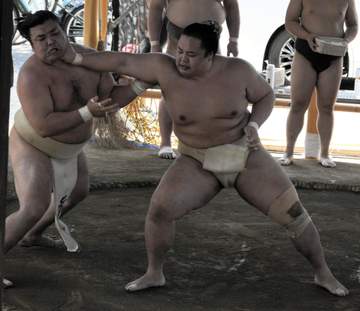 昨年優勝の関脇琴勝峰が綱とり霧島に力強さ披露「もっと厳しくできる」【大相撲名古屋場所】