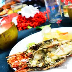 ロブスターピクニック(C)モデルプレス