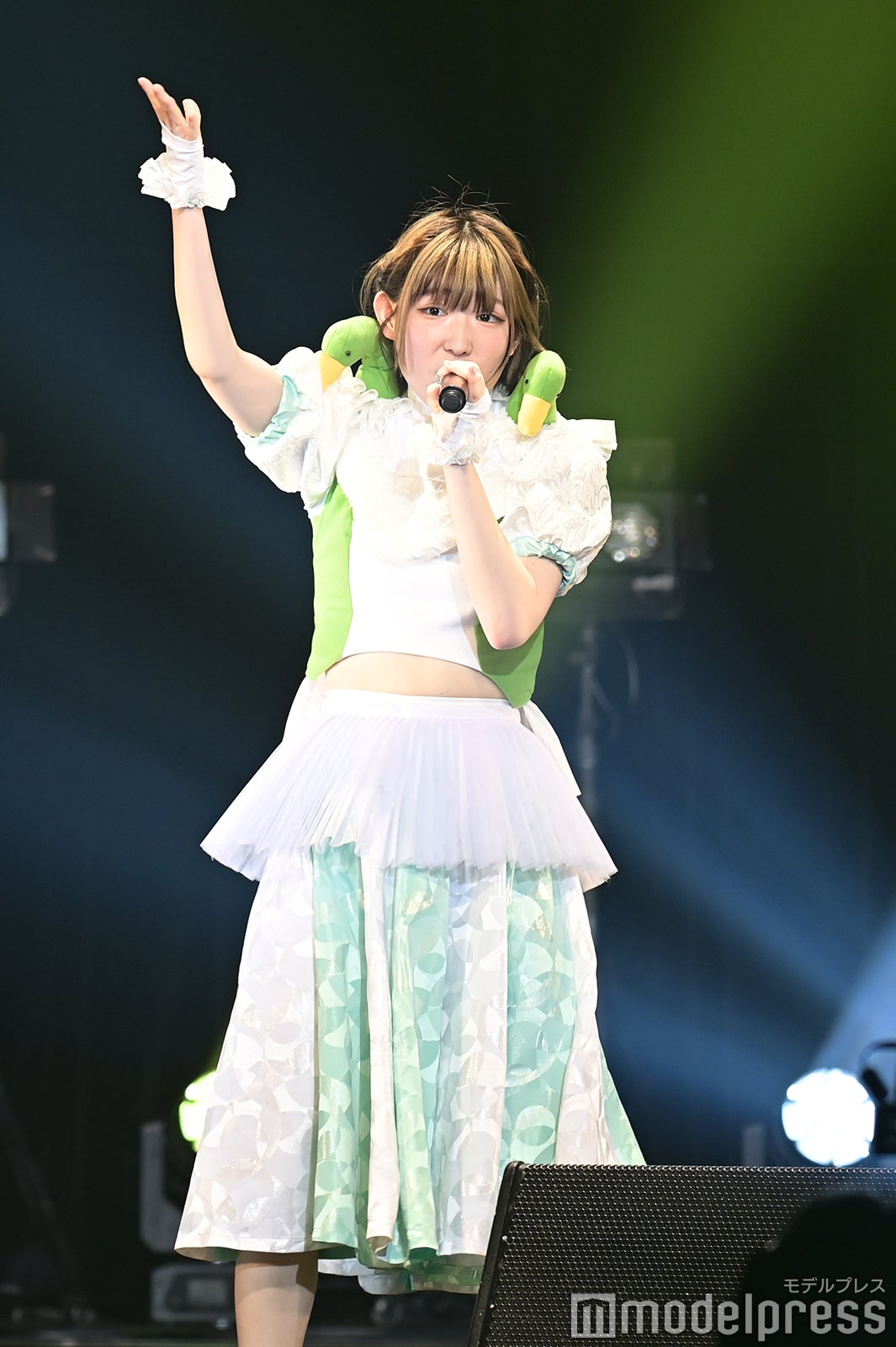 豆柴の大群（C）モデルプレス