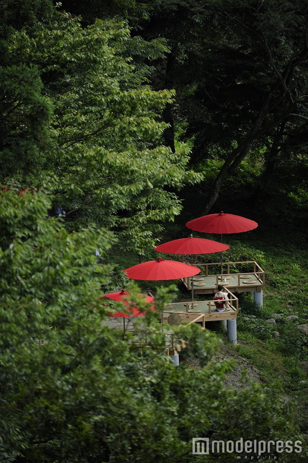 鶴仙渓 川床／画像提供：山中温泉観光協会・旅館協同組合