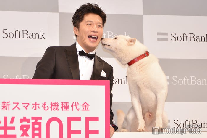田中圭に夢中な白戸家のお父さん(C)モデルプレス