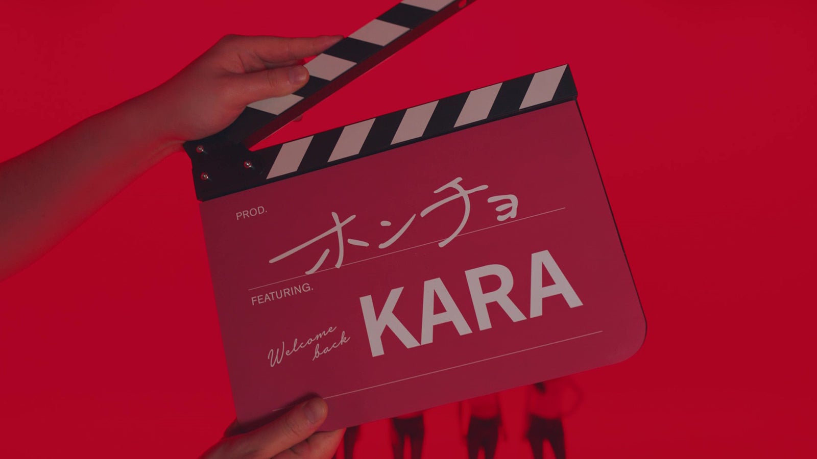 KARA（提供写真）