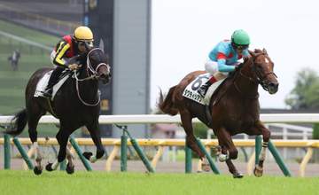 【新馬戦】タクティシアン 人気に応えた ルメール「いい加速をしてくれた」サリオス産駒に今後も期待