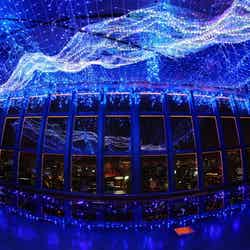 東京タワー 天の川イルミネーション/画像提供:ぴあ