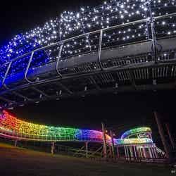 ナイトレインボー/画像提供:伊豆シャボテン公園