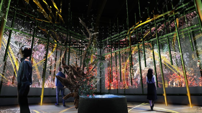 茶室 -調心の間-/画像提供:ネイキッド