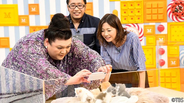 マツコの母性が目覚める 猫じゃらしの魔術師 が可愛い写真の撮り方を指導 モデルプレス マツコの母性が目覚める 猫じゃらしの魔術師 が可愛い写真の撮り方を指導 モデルプレス