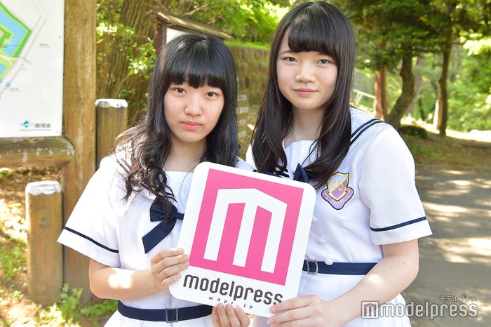 乃木坂46ファン(C)モデルプレス