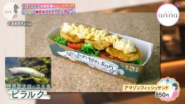 【明日オープン】神戸に新たなランドマークが誕生！新感覚の水族館とは？