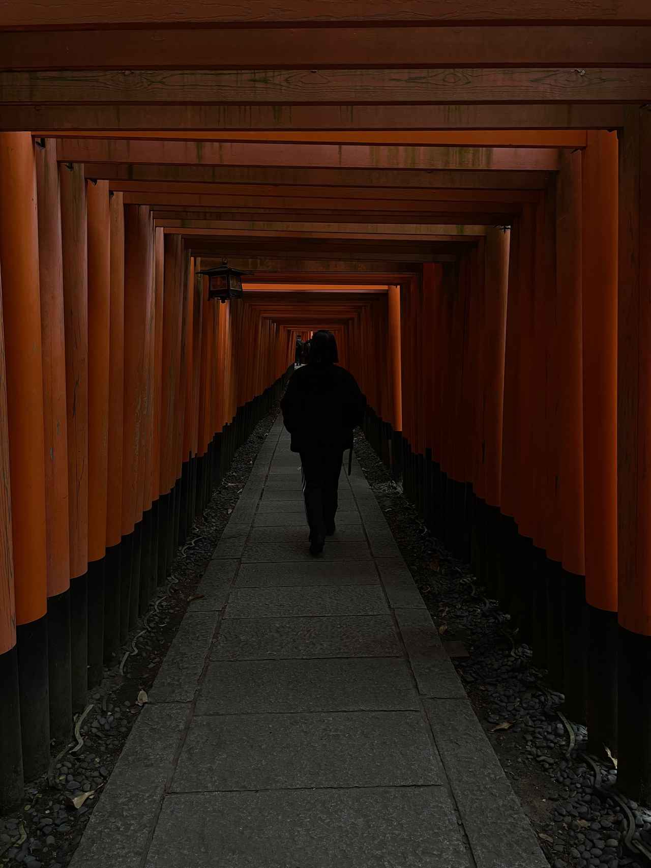 画像5: