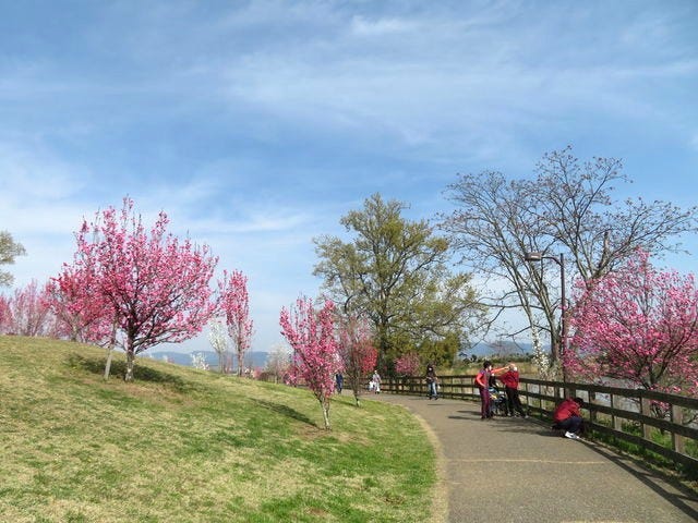 馬見丘陵公園