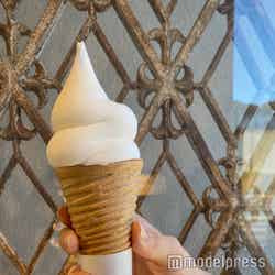 VISON内でも人気のソフトクリーム(400円)(C)モデルプレス
